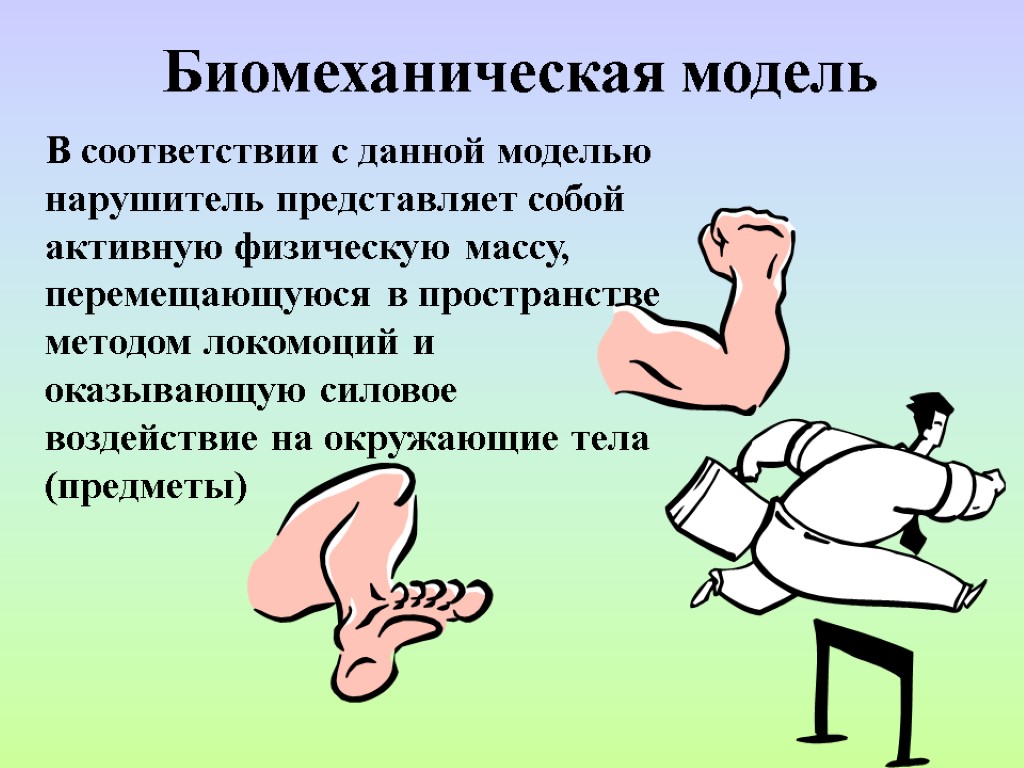 Биомеханическая модель В соответствии с данной моделью нарушитель представляет собой активную физическую массу, перемещающуюся